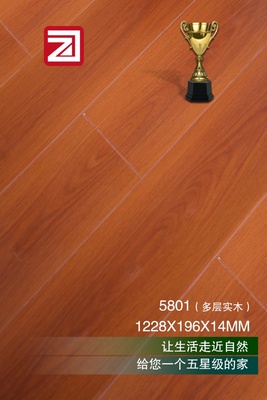 多层实木5801