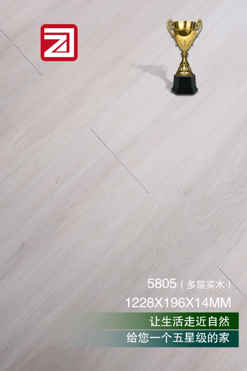 多层实木5805