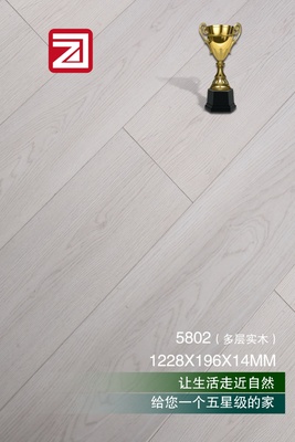多层实木5802
