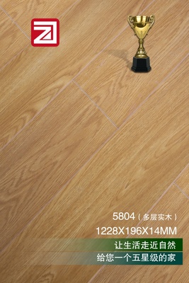多层实木5804