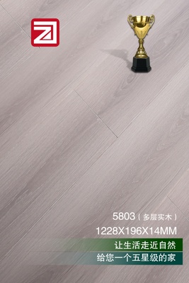多层实木5803
