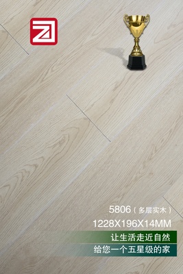 多层实木5806